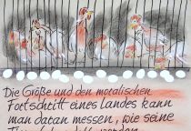 Die Größe und den moralischen Fortschritt eines Landes kann man daran messen, wie seine Tiere behandelt werden. - Mahatma Gandhi