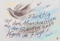 Flüchtig ist das Menschenleben wie der Schatten eines Vogels im Fluge. - Talmud